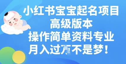 小红书宝宝起名项目高级版本，操作简单，资料专业，月入过W-80后副业网