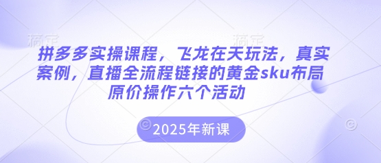 拼多多实操课程,飞龙在天玩法,真实案例,直播全流程链接的黄金sku布局原价操作六个活动-80后副业网