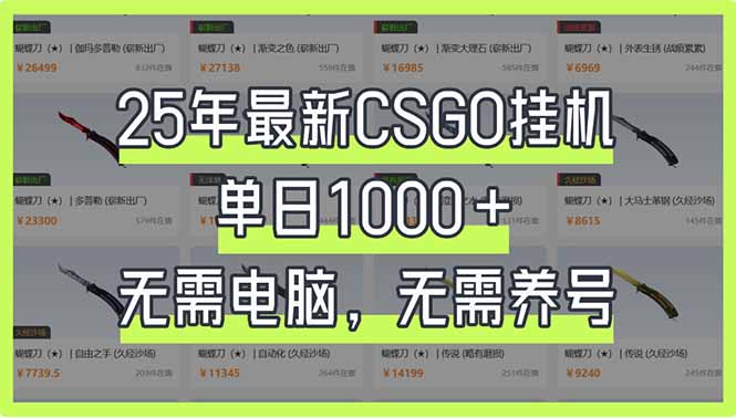 （14178期）25年最新CSGO挂机系统，单日1000+，无需电脑，无需养号，0基础可上手-80后副业网