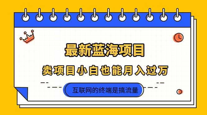 （14289期）2025年最新蓝海项目，卖项目小白也能月入过万-80后副业网