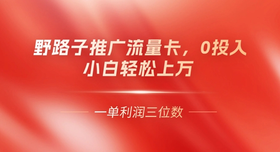 0门槛推广流量卡,一单收益上百,0投入,小白月入过W-80后副业网