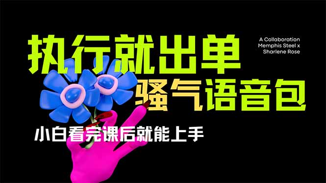 （14170期）爆火全网的开车导航骚气语音包,只要执行就出单，小白看完课程就能实操...-80后副业网