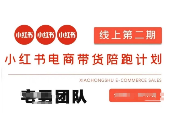 小红书电商带货课2期，月利润20个的小红书电商的有货源，无货源，虚拟产品，付费投流等整套玩法-80后副业网